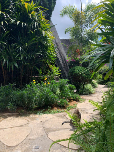 Others 3, An Moc Gia Trang - Bungalow Da Lat, Đà Lạt
