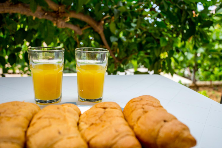 Food & Drinks 4, Apartments Iva Brstilo, Omiš