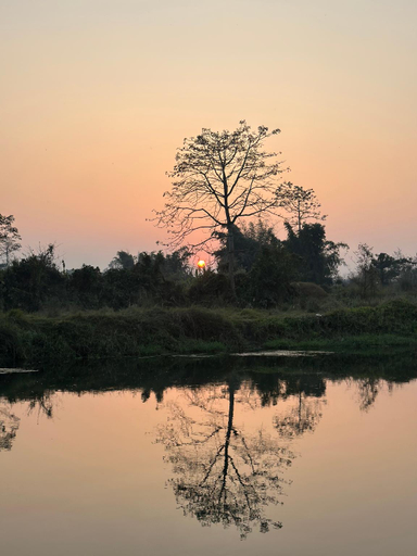 Others 4, Hotel Chitwan Park Cottage, Narayani