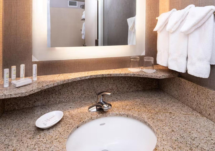 Bathroom 3, Springhill Suites Pittsburgh North Shore, Allegheny