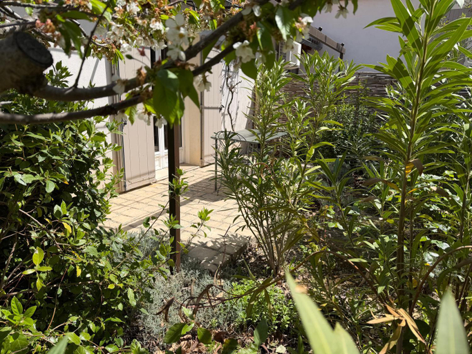 Others 2, Le Bouquet de Seguret, Vaucluse