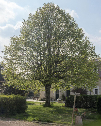 Others 2, Les Aulnaies - B&B, Loir-et-Cher