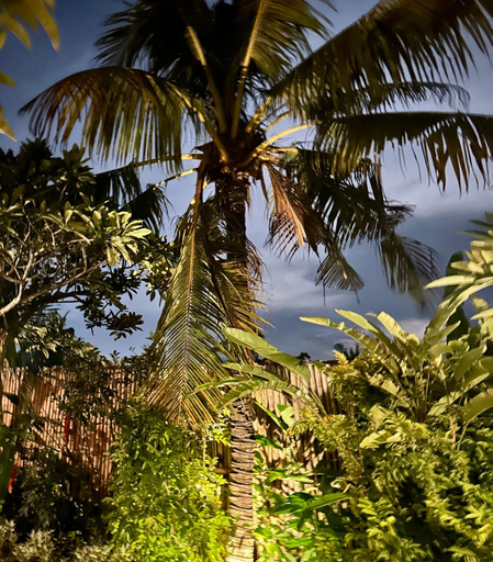 Others 2, Casa Sal Bali, Gianyar