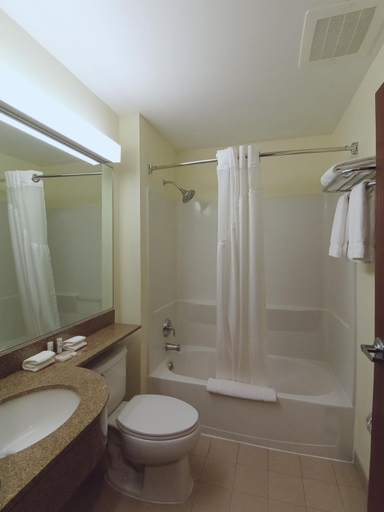 Bathroom 4, Microtel Inn & Suites by Wyndham Toluca, Toluca