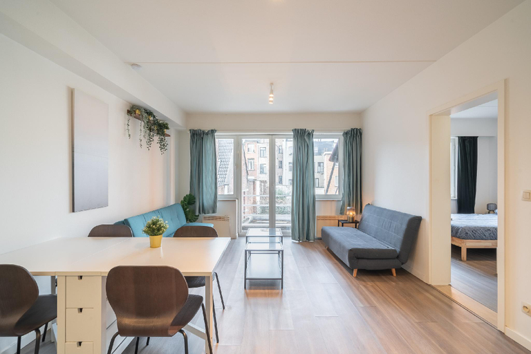 Interior view 2, Antwerp bright apartment stay, Antwerpen