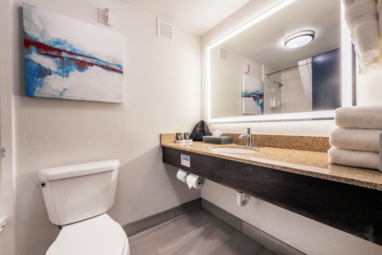 Bathroom 4, La Quinta Inn & Suites by Wyndham Danbury, Fairfield