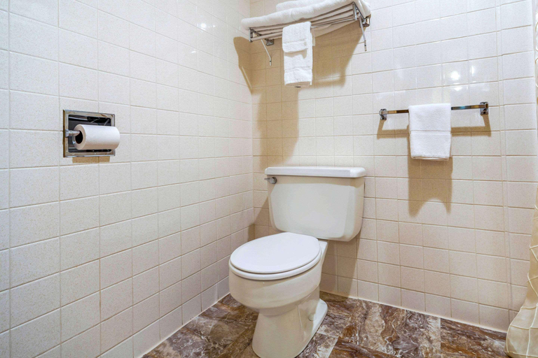 Bathroom 3, Econo Lodge Inn & Suites Brookings, SD, Brookings