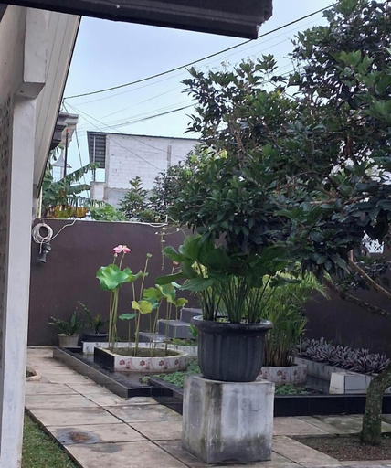 Property grounds 4, Cozzy Villa Keumala, Bogor