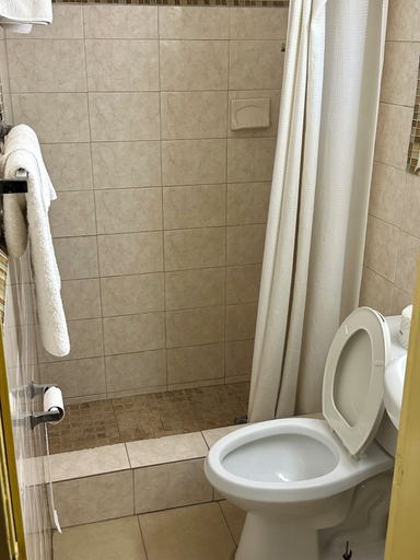 Bathroom 4, Motel 301, Hillsborough