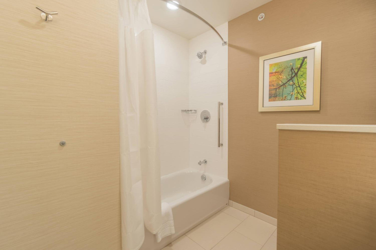 Others 4, Fairfield Inn Suites Gaylord, Otsego
