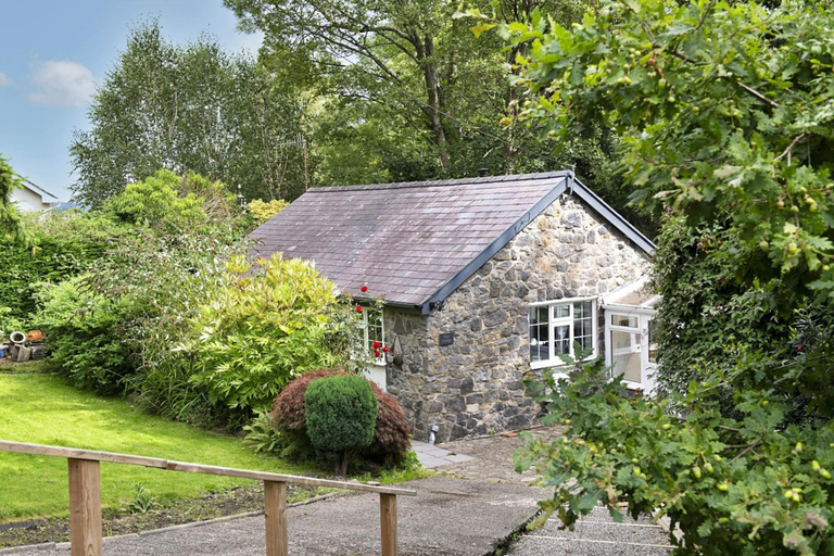 Primary image