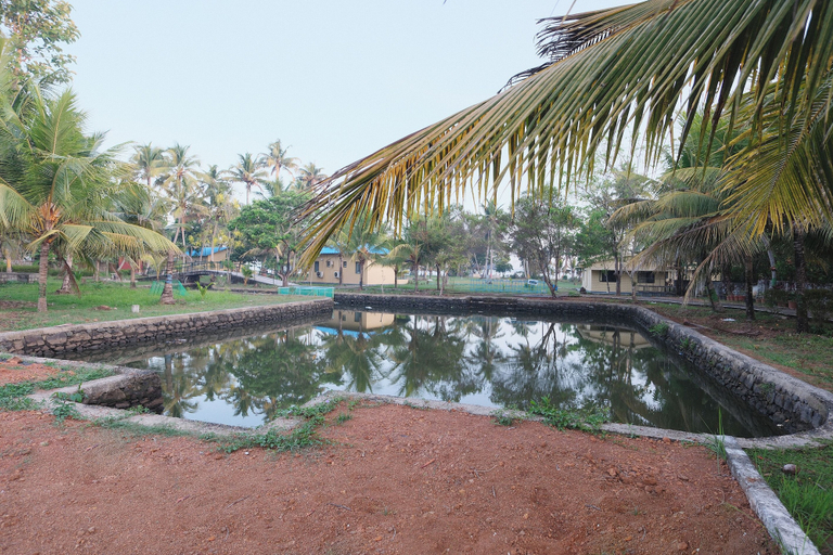 Sport & Beauty 4, Lake Vechoor Villas, Kottayam