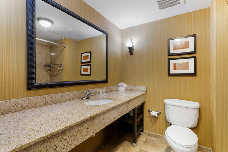 Bathroom 4, Comfort Suites Kodak Sevierville, Sevier