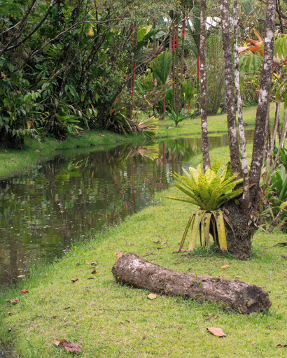 Property grounds 4, Cabañas Los Laguitos, Guatuso