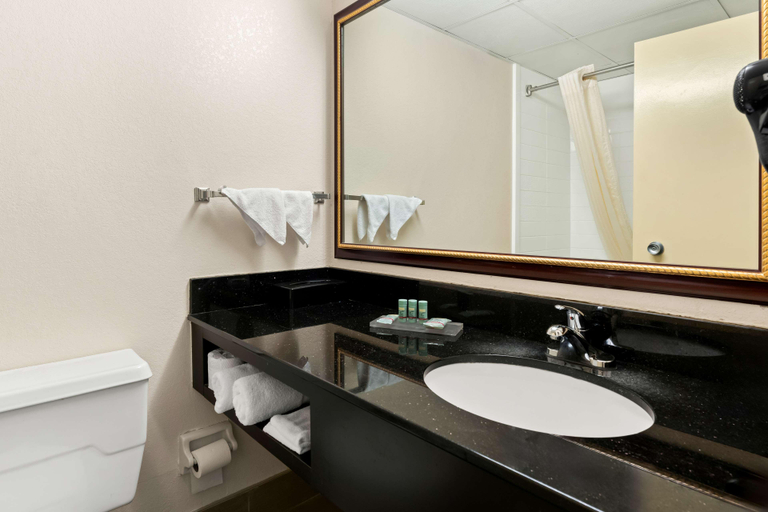 Bathroom 4, Best Western Riverside Inn, Bibb