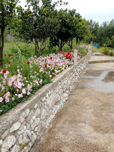 Others 3, Izvor Panorama, Vlorës