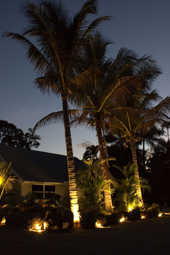 Room 5, Tropical Mango Grove Stay Whiskey Creek Area, Lee