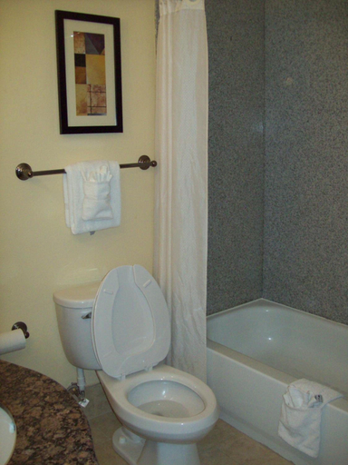 Bathroom 5, Magnolia Inn & Suites Savannah Airport, Chatham