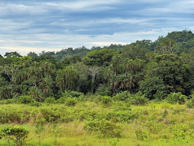 Miscellaneous 2, Kibale Riverside Camp, Burahya