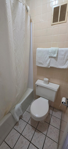 Bathroom, DELUXE INN SHAMROCK, Wheeler