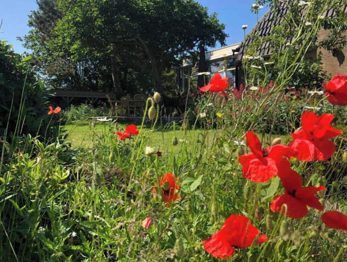 Property grounds 5, Hotel de Horper Wielen, Terschelling