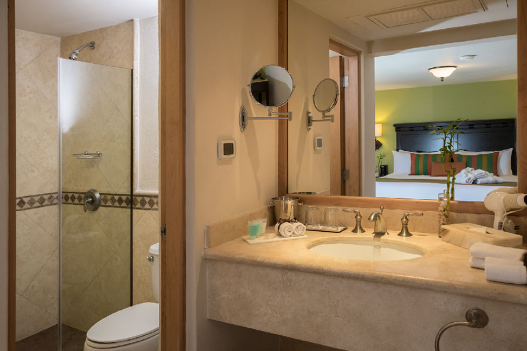 Bathroom 4, Tesoro Los Cabos, La Paz