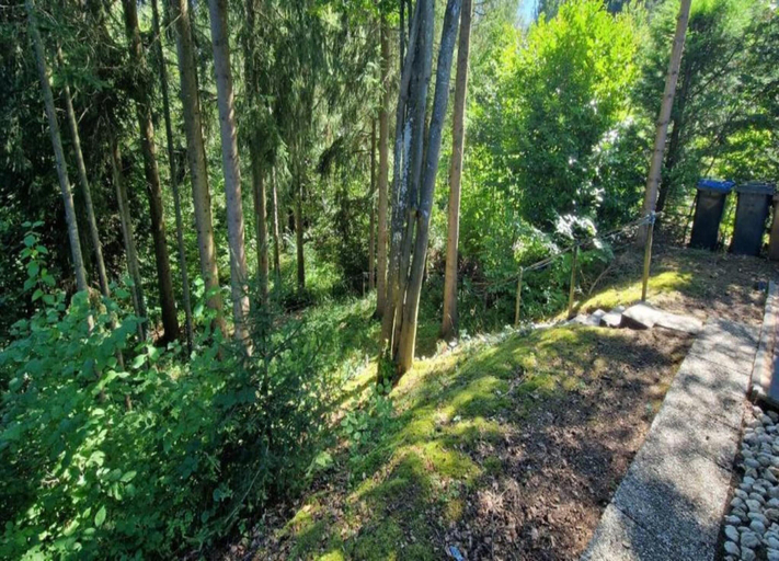 View from property 5, Bungalow im Eifelpark mit Terrasse, Vulkaneifel