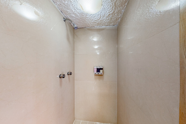 Bathroom 4, Central Puerto Vallarta Condo With Pool, Ocean Views & Fast Wifi - Walk to Beach, Puerto Vallarta