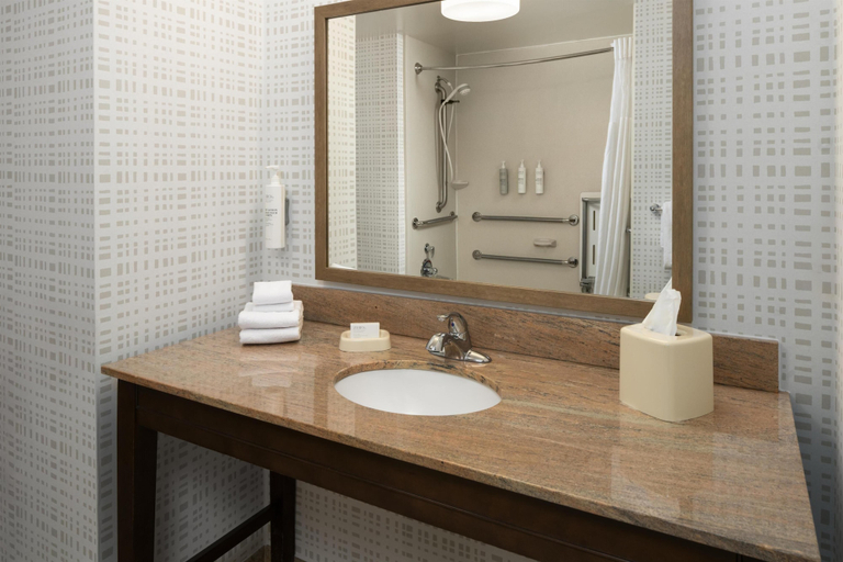 Bathroom 5, Hampton Inn & Suites Rochester/Henrietta, Monroe