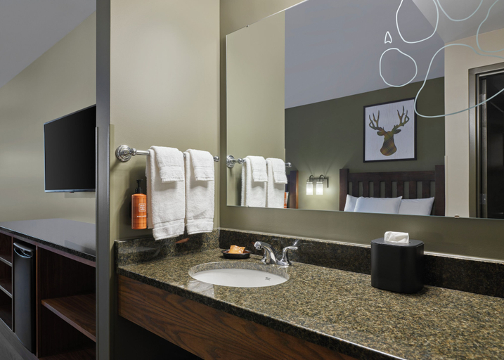 Bathroom 3, Great Wolf Lodge Perryville, Cecil