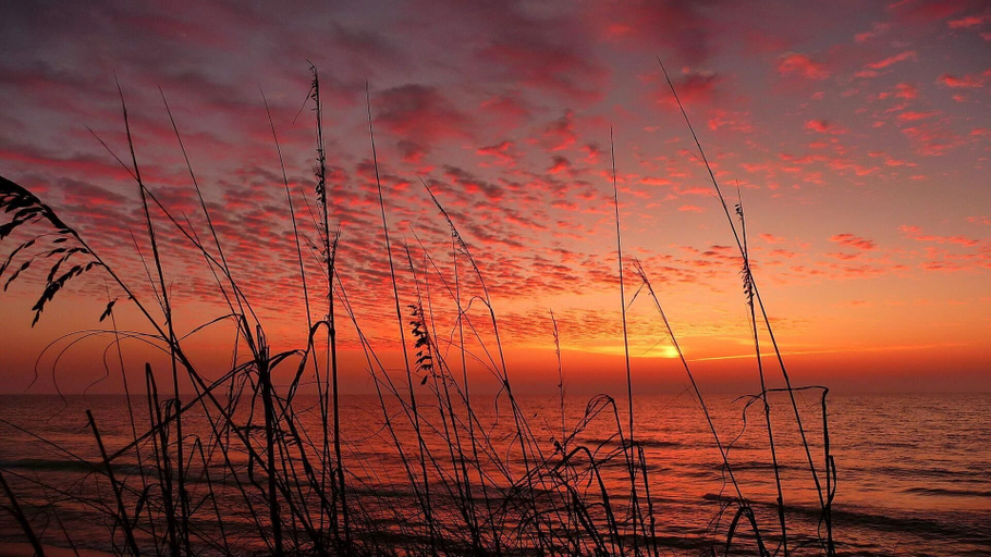 Miscellaneous, Harbor House 26, Pinellas