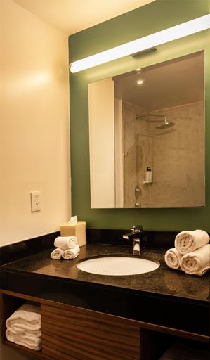 Bathroom 3, Hilton Garden Inn Mexico City Polanco, Mexico City