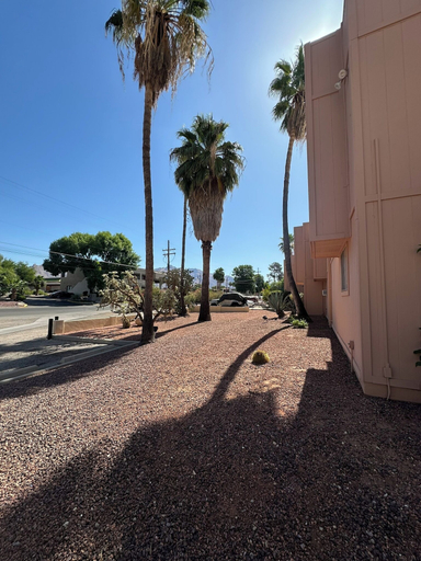 Property grounds 2, Flamingo Suites, Pima