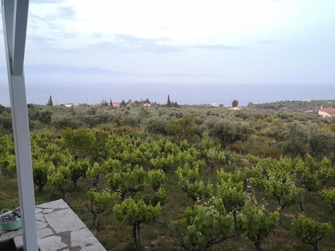 Property grounds, The Iconpainter Estate, Peloponnese