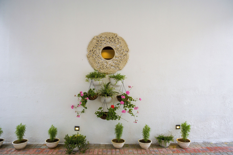 Property grounds 2, ELIVAAS Serenita Abode Tranquil Escape, Dehradun