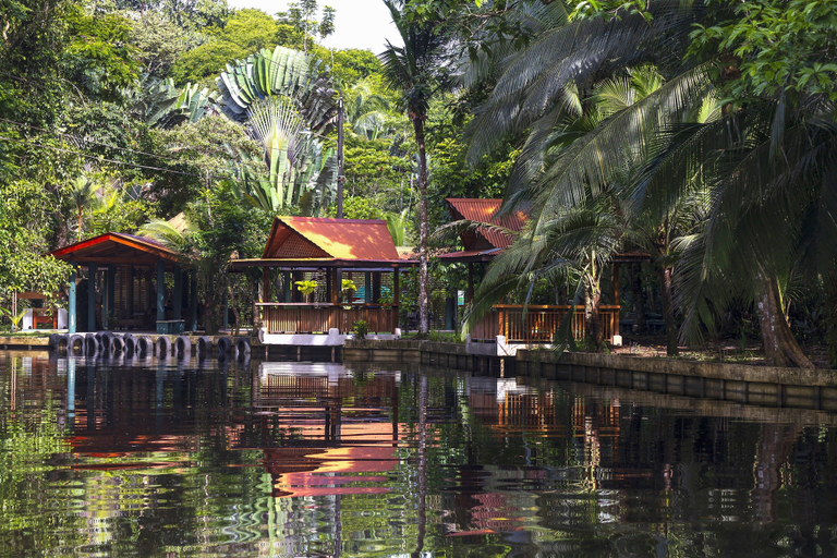 Exterior & Views 2, Evergreen Lodge, Pococí