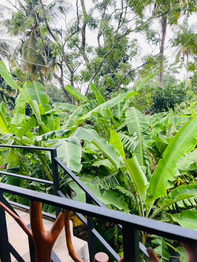 Others 3, Dimuthu Green Villa, Dambulla