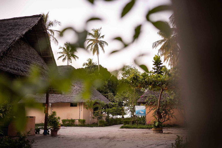 Property grounds, Afro Beach Safari, Mafia