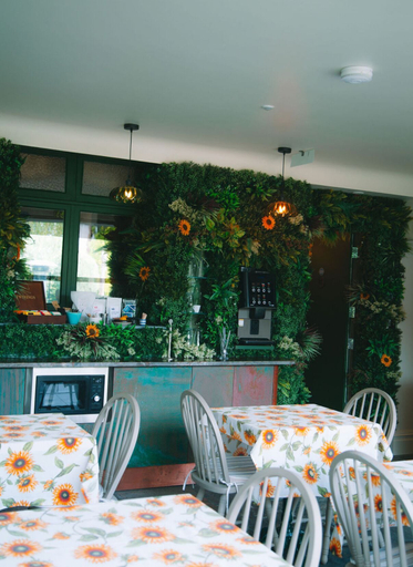 Food & Drinks 4, Bradleigh Lodge, Cornwall