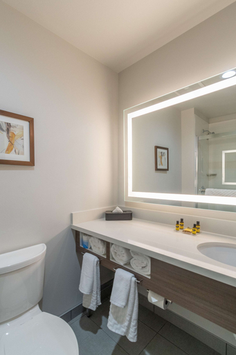 Bathroom 4, Best Western Plus Tacoma Hotel, Pierce