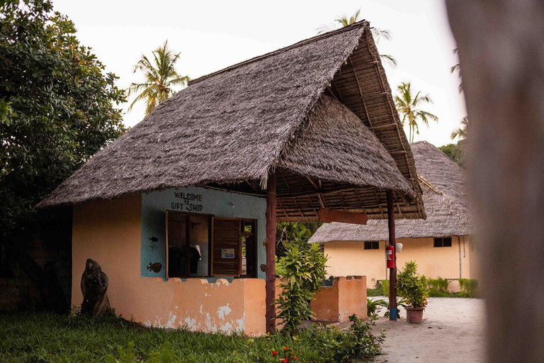 Exterior 4, Afro Beach Safari, Mafia