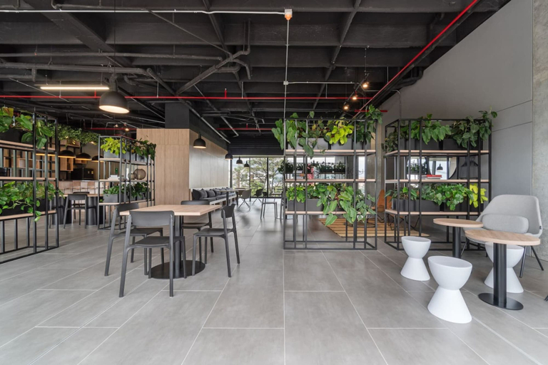 Room 5, Go Living Suites - 807, Medellín