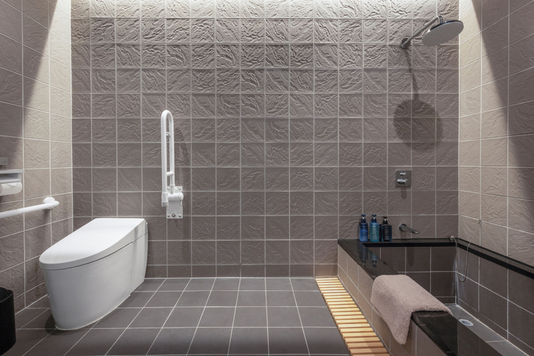 Bathroom 5, Ryugon, Minamiuonuma