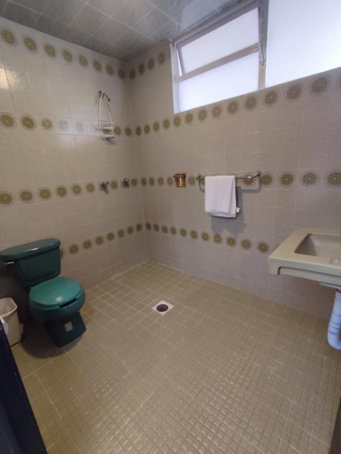 Bathroom 5, Hotel Del Valle, Tecamachalco, Atoyatempan