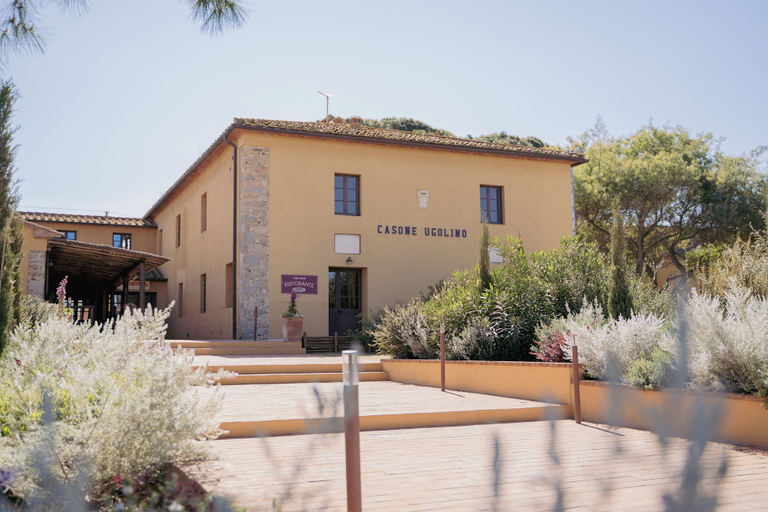 Exterior & Views 2, Casone Ugolino, Livorno