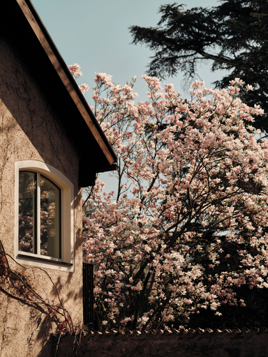 Exterior 5, Villa Giacomuzzi, Bolzano