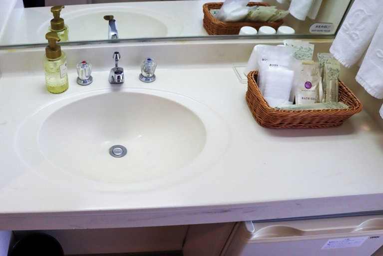 Bathroom 4, Shiga Kogen Prince Hotel, Yamanouchi