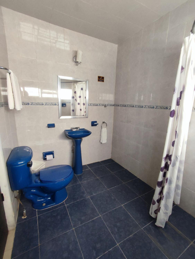 Bathroom 4, Hotel Del Valle, Tecamachalco, Atoyatempan