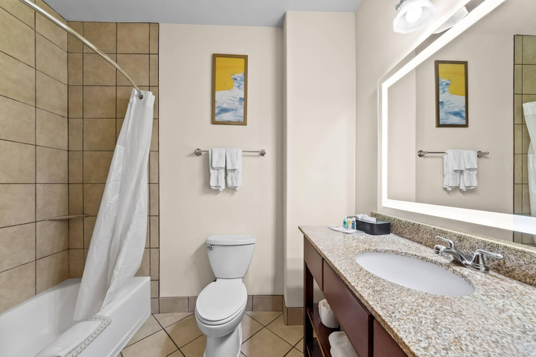 Bathroom 4, Comfort Suites San Antonio North - Stone Oak, Bexar