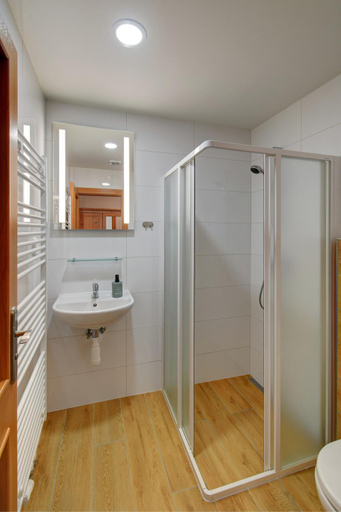 Bathroom 2, Penzion pod Radyni, Plzeň - jih